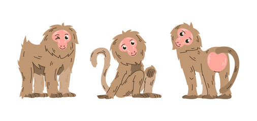 Cartoon Baboon Characters in Different Poses