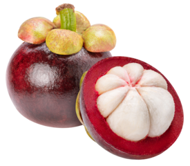 Mangostreen Queen of fruit on green white background, Purple Mangosteen tropical fruit isolate on white PNG File.