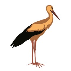 stork on a white background