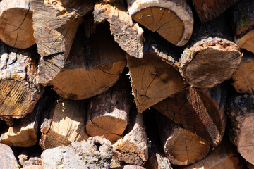 stack of firewood