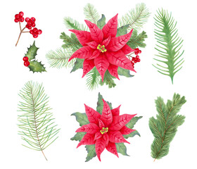 Christmas set with poinsettia flower, holly berries, leaves, pine, spruce. Isolated hand drawn watercolor art. Composition for the winter holidays New Year, Christmas. Clip art for cards, design