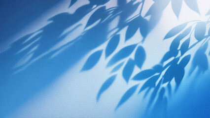 Fototapeta premium 葉の影、ブルーの背景