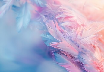 Obraz premium Pastel Soft Feathers Abstract Background