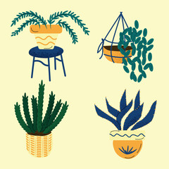 Houseplant illustrations in artistic styles 