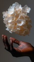 Hydrangea flowers floating in mid air above a person's hand, floral magic, dark skin against grey background, surrealism