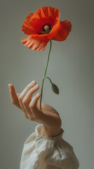 Beautiful red poppy flower growing from the center of a hand, magic realism, white hand with bell sleeve, romantic floral still life photography