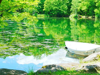 北海道の絶景 富良野鳥沼公園