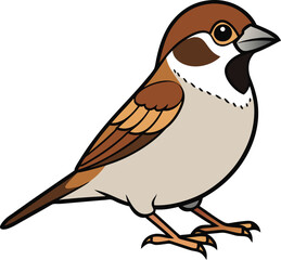 illustration of a sparrow