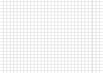 White Graph Paper Background with Grid Lines