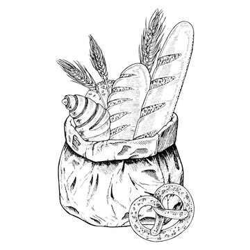 recommend clip art: Pastry in a craft paper bag. Vector hand drawn illustration. Baked goods sketch drawing. Vintage black line art drawing with white backgrounds. Food clipart for design. Bread, baguette and croissant