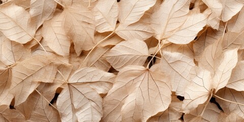 Dried Leaves Pattern