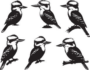 Kookaburra silhouette Iconic Aussie Animals white background