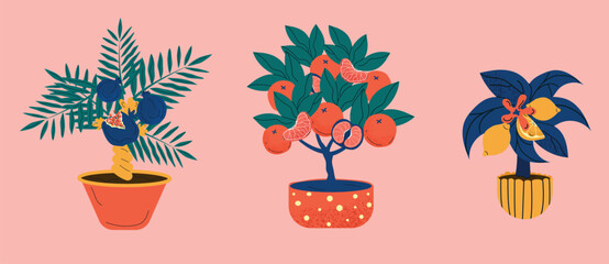 Colorful potted plants in decorative pots