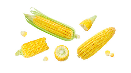 Flying fresh corn with broken isolated on white background , clipping path.