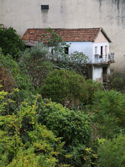 Landscape of an old house located in the Douro wine region, in Portugal, very mysterious and...