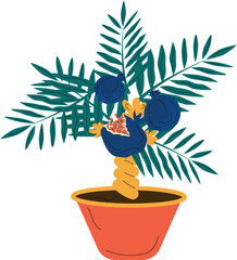 Colorful tropical plant with fruit in pots