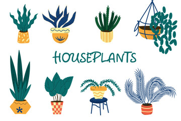 set of house plants isolated on a white background