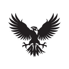 Obraz premium eagle in flight