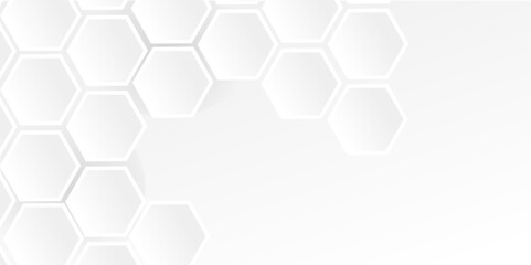 Fototapeta premium Luxury white and grey hexagonal abstract background with shadow. Geometric texture illustration. hexagon concept design abstract technology background vector. Modern simple style hexagonal graphic.