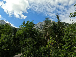 Alpen, Berge, Berggipfel - Schweiz, Österreich, Deutschland