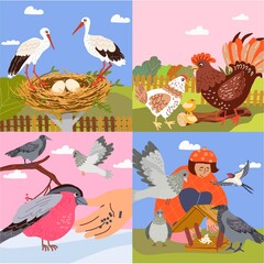 Animal drawing hand drawn composition set