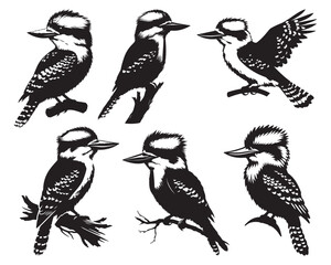 Kookaburra silhouette Iconic Aussie Animals white background 2nd 