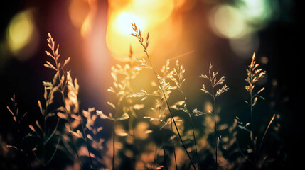 Enchanting background photo of wild grass bathed in the warm glow of a summer sunset, evoking a sense of tranquility and magic