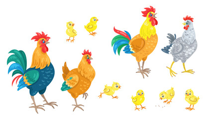 Chicken family. Cockerels, hens and six funny yellow chickens in different poses. Isolated on white background. Vector flat illustration.