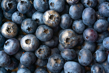 Close up shot of blueberries. Berries background