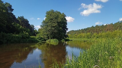 River and forest © Dagmara Golebiowska