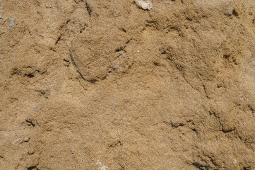 abstract dark gray sandstone texture.