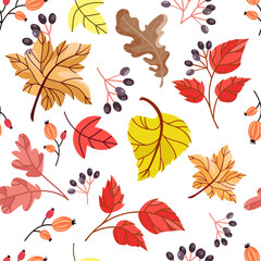Falling leaves autumn seamless pattern.Autumn seamless background with different leaves and plants of seasonal colors.Design for print, paper, wallpaper, textiles, packaging.Vector illustration