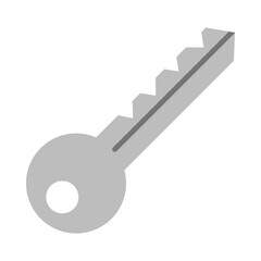 Key flat icon