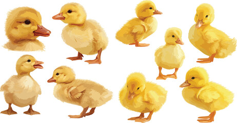 duckling watercolor clipart
