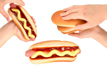 Hot dog isolated on white background. Copy space.