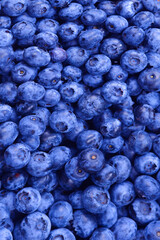 Fresh blueberry background. Texture blueberry berries close up.