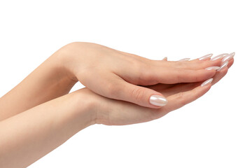 Woman hands  isolated on a white background.