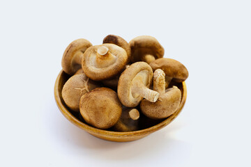 Fresh shiitake mushrooms on white background.