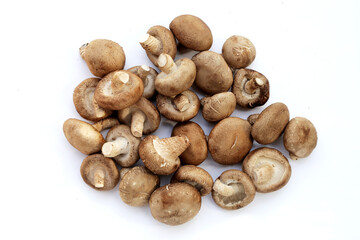 Fresh shiitake mushrooms on white background.
