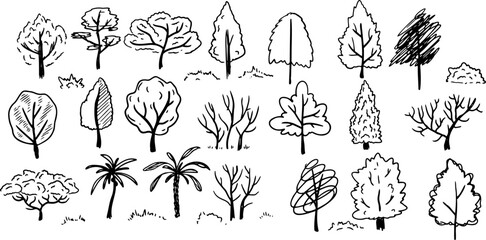 Tree sketch set. Silhouette of forest plant. Doodle outline black wood. Collection of branch decoration. Cartoon park foliage trunk. Abstract landscape