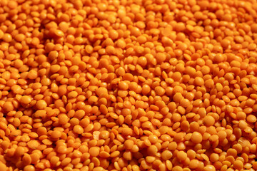 Organic red lentils. Top view close-up