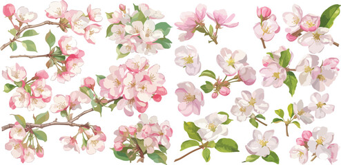 apple blossom watercolor clipart © dian's