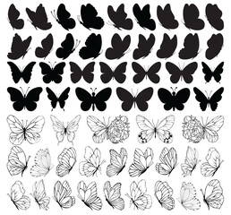 Butterfly collection. Black white illustration. Butterflies clipart set.Set of black and white line butterflies.Baby shower design elements. Party invitation, birthday celebration. Spring,summer decor