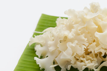 Cauliflower mushroom or cauliflower fungus