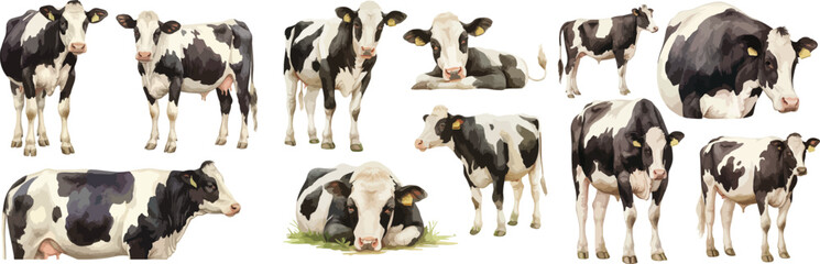 holstein watercolor clipart