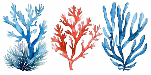 Different types of seaweed are shown in a painting. A set of red and blue plant with long, thin leaves