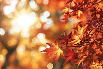 Fototapeta premium Vibrant fall foliage glistening in the sun, surrounded by soft bokeh lights soft focus light and bokeh background, AI generated
