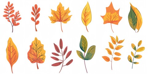 Obraz premium A set of 12 different colored leaves, including a maple leaf, are shown in various stages of growth