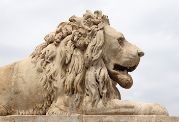 Lion statue of the famous Chain Bridge at Budapest city