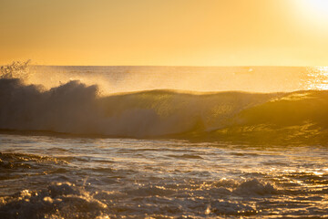 Fototapeta premium Beautiful wave under the morning golden light.